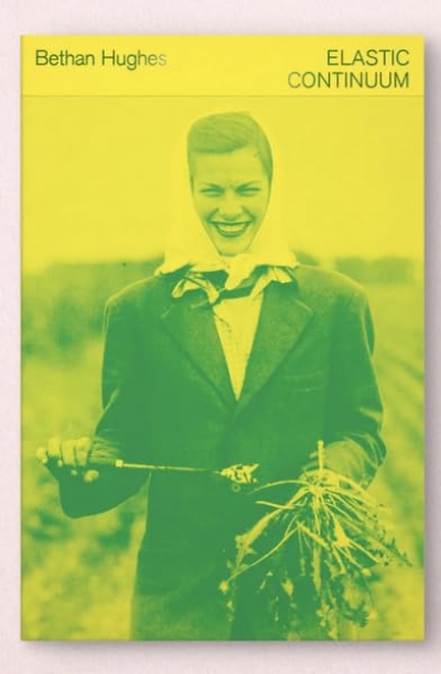 Bethan Hughes. Elastic Continuum (Processing Process)