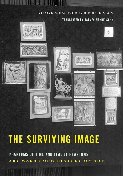 Cover The Surviving Image
